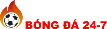 ltd c1